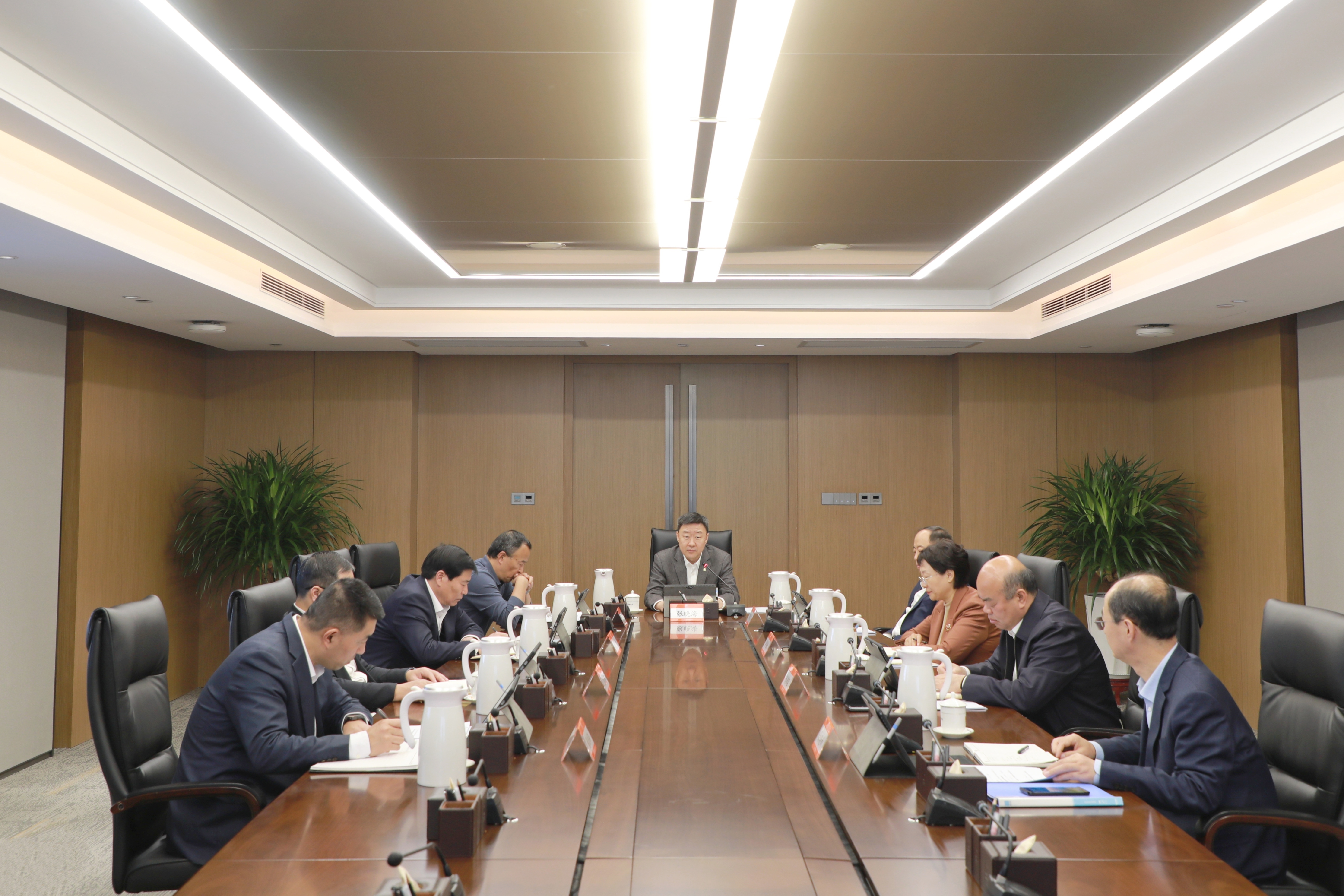 集團(tuán)黨委常委會召開會議 傳達(dá)學(xué)習(xí)習(xí)近平總書記重要講話精神 研究有關(guān)事項